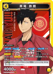 Tetsuro Kuroo HIQ-1-018