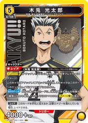 Kotaro Bokuto HIQ-1-025