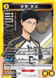 Keiji Akaashi HIQ-1-027