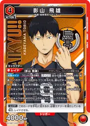 Tobio Kageyama HIQ-1-077