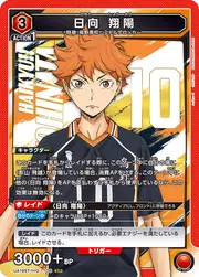 Shoyo Hinata HIQ-1-106