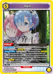 Rem UE24BT/REZ-1-020
